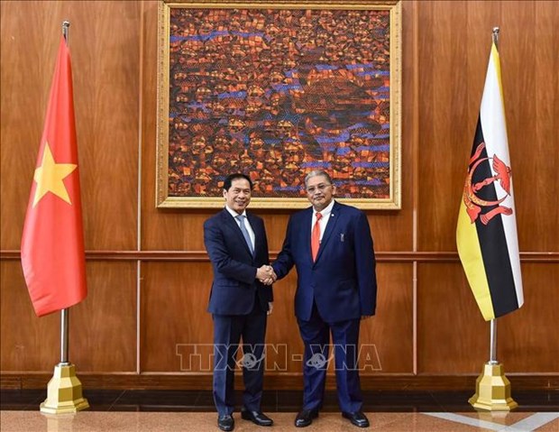 Le Vietnam et le Brunei s’engagent a promouvoir leur partenariat integral hinh anh 1
