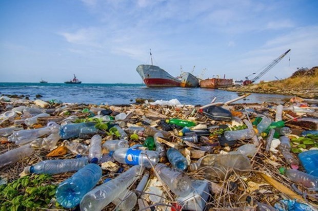 Le Vietnam et les pays de l’ASEAN resolvent le defi des dechets plastiques hinh anh 2