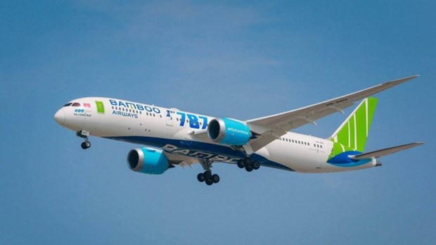 Ponctualite des vols en 8 mois: Bamboo Airways est toujours «le meilleur eleve» hinh anh 1