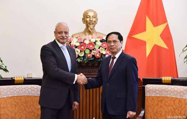 Promouvoir davantage la cooperation multiforme Vietnam-Egypte hinh anh 1