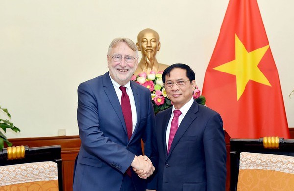 Continuer a approfondir les relations Vietnam-Union europeenne hinh anh 1