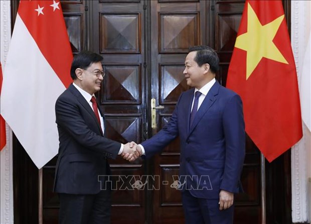 Promouvoir le partenariat strategique Vietnam – Singapour hinh anh 2
