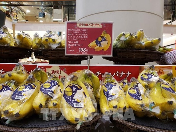 Les bananes du Vietnam de plus en plus prisees au Japon hinh anh 1