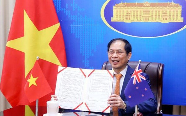 Promouvoir la cooperation multiforme entre le Vietnam et la Nouvelle Zelande hinh anh 1