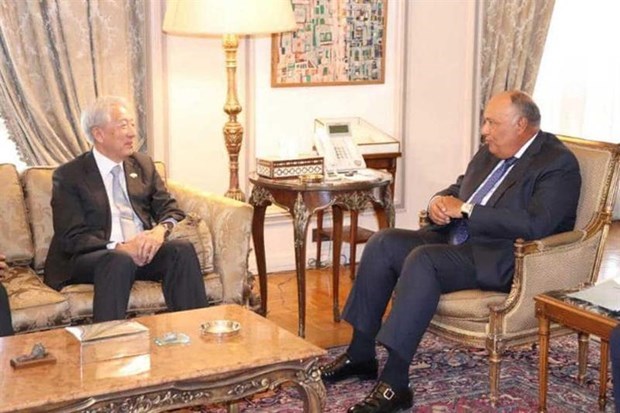 L'Egypte souhaite developper ses relations avec Singapour hinh anh 1