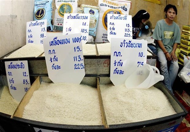 La Thailande vise un objectif d'exportation de riz plus eleve hinh anh 1