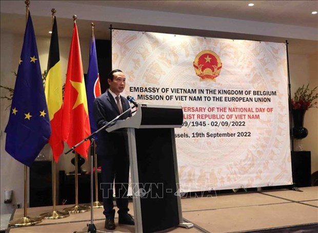 Les relations de cooperation entre le Vietnam et l'UE et la Belgique au beau fixe hinh anh 1