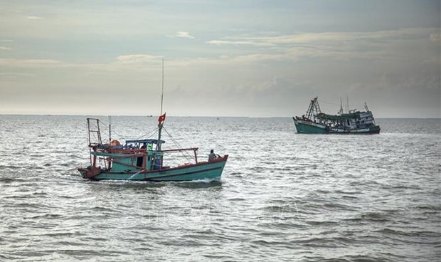 Le Vietnam renforce son systeme de controle des bateaux de peche hinh anh 1