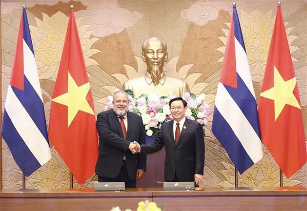 Le Vietnam prend en haute consideration les relations de solidarite et d’amitie avec Cuba hinh anh 2