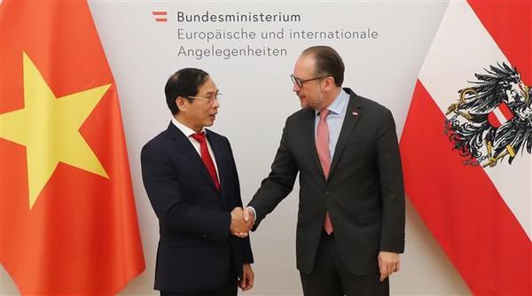 Le ministre des Affaires etrangeres Bui Thanh Son en visite officielle en Autriche hinh anh 1