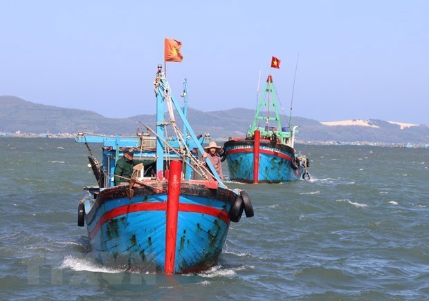 Binh Thuan veille a ses ressources halieutiques et lutte contre la peche INN hinh anh 1