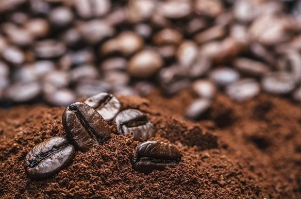 Plus de 3 milliards d’USD d'exportations de cafe en 9 mois hinh anh 1