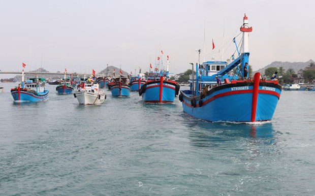 INN : investissement des infrastructures portuaires de peche a Quang Ngai hinh anh 1