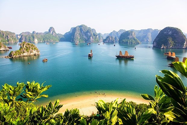 Le Vietnam parmi les destinations les plus "googlisees" en Australie depuis 20 ans hinh anh 2