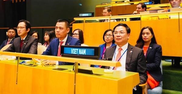 Le Vietnam s'associe a la communaute internationale pour edifier un monde de paix hinh anh 2