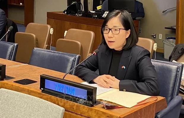 Le Vietnam souligne a l’ONU l’importance de la decolonisation hinh anh 1