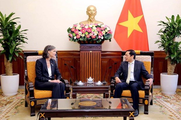 Le Vietnam estime les contributions du PNUD au developpement socio-economique hinh anh 2