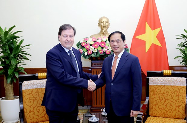 Vietnam-Chili: Consultation politique entre les ministeres des Affaires etrangeres hinh anh 1