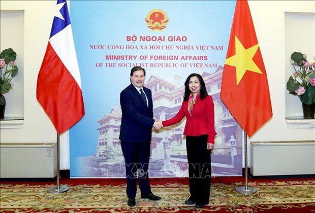 Vietnam-Chili: Consultation politique entre les ministeres des Affaires etrangeres hinh anh 2