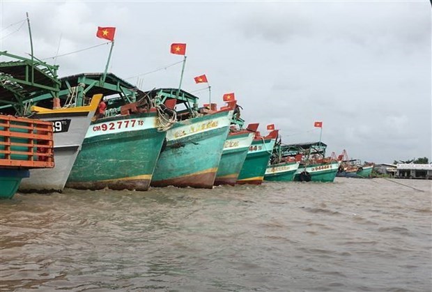 Le Vietnam reaffirme son engagement ferme a eliminer la peche illegale hinh anh 1