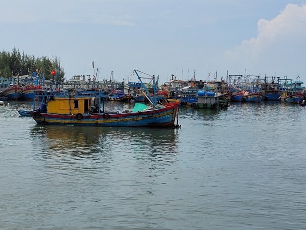 Le Vietnam renforce les controles des bateaux pour empecher la peche illegale hinh anh 1