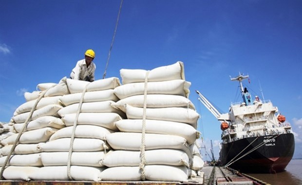Le conflit en Ukraine n’affecte pas les exportations de riz du Vietnam hinh anh 1