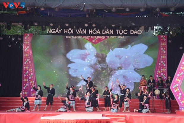 A Son La, une troupe artistique villageoise chante le patrimoine culturel des Dao hinh anh 2
