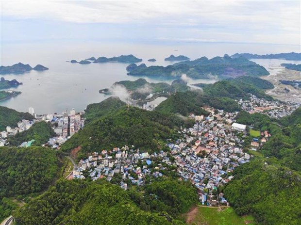 Hai Phong : gestion, conservation et developpement de la reserve de biosphere hinh anh 1