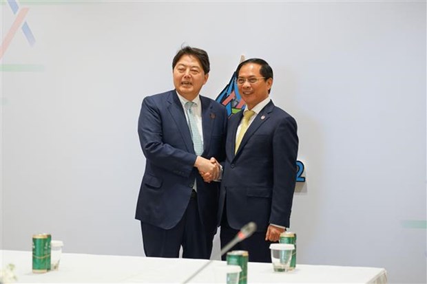 Le ministre des Affaires etrangeres Bui Thanh Son rencontre ses homologues japonais et americain hinh anh 2