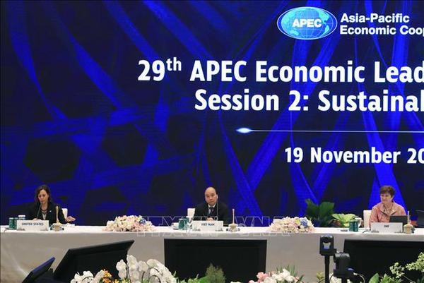 Le Vietnam a la 2e session de la 29e reunion des dirigeants economiques de l’APEC hinh anh 1