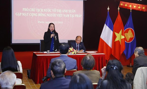 La vice-presidente Vo Thi Anh Xuan rencontre la communaute vietnamienne en France hinh anh 1