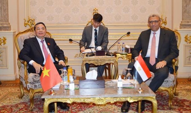Le vice-president de l’Assemblee nationale Nguyen Duc Hai se rend en Egypte hinh anh 1