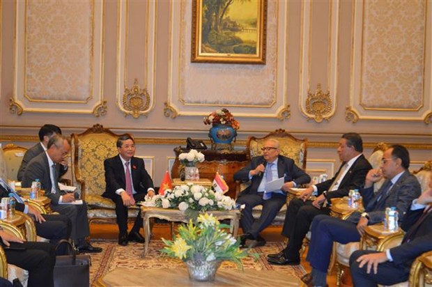 Le vice-president de l’Assemblee nationale Nguyen Duc Hai se rend en Egypte hinh anh 2