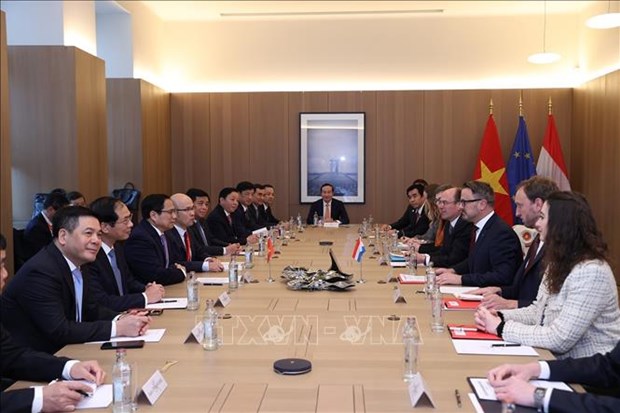 Le Premier ministre vietnamien s'entretient avec son homologue luxembourgeois hinh anh 2