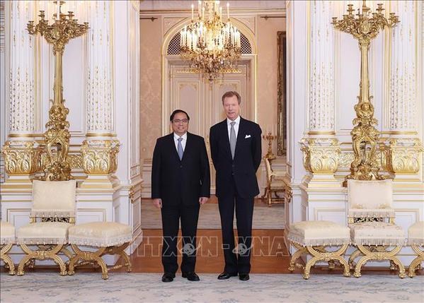 Le Premier ministre Pham Minh Chinh rencontre le Grand-Duc de Luxembourg Henri hinh anh 2
