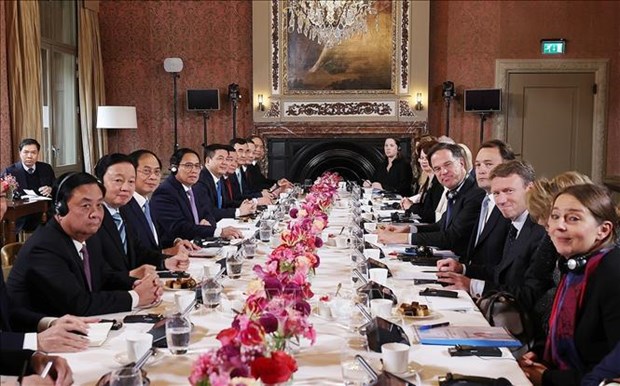 Le Premier ministre vietnamien s'entretient avec son homologue neerlandais hinh anh 1
