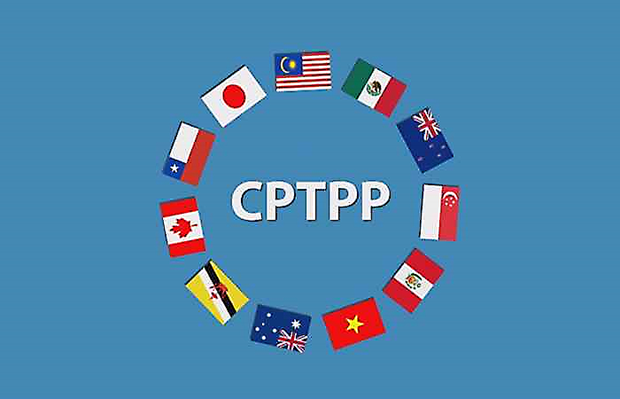 Le CPTPP recele encore un potentiel inexploite pour les entreprises vietnamiennes hinh anh 2
