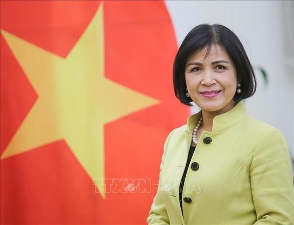 Le Vietnam participe au Sommet pour une cooperation efficace au service du developpement a Geneve hinh anh 1
