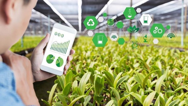 La digitalisation contribue a promouvoir le developpement durable de l’agriculture hinh anh 1