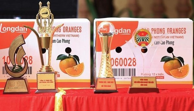 Premier lot d’oranges de Cao Phong exportes au Royaume-Uni hinh anh 2
