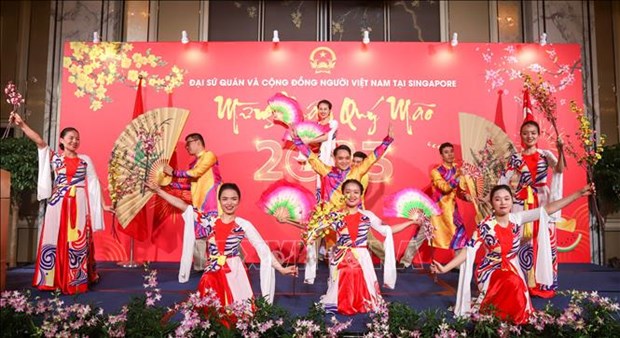 Des Vietnamiens a Singapour fetent le Nouvel An lunaire du Chat 2023 hinh anh 1