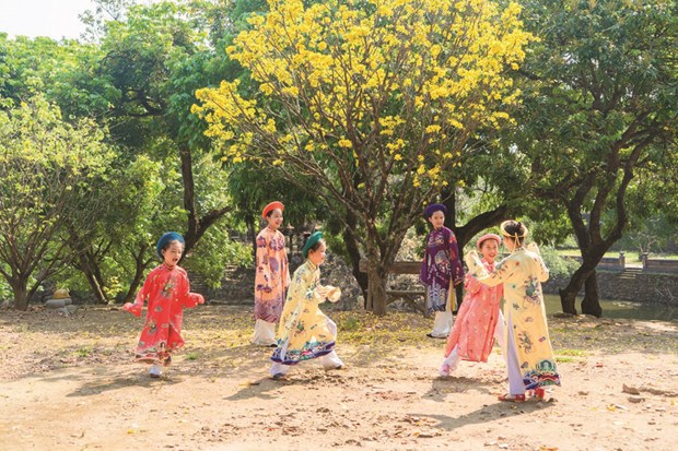 Les abricotiers jaunes jouent les stars dans la vieille ville de Hue hinh anh 1