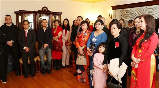 La diaspora vietnamienne celebre le Tet du Chat 2023 hinh anh 1
