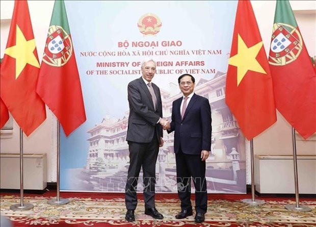 Entretien entre le ministre vietnamien des AE Bui Thanh Son et son homologue portugais hinh anh 1