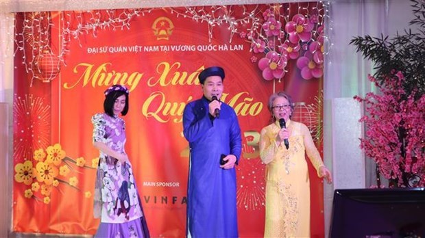 Les Vietnamiens aux Pays-Bas celebrent la fete du Tet hinh anh 1