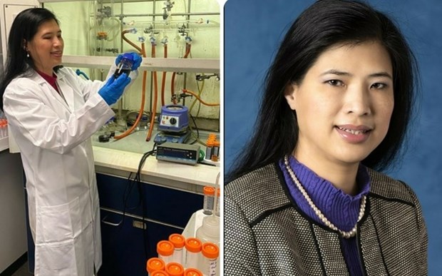 Vietnamese scientists were awarded the 6th year of 2022 in the world