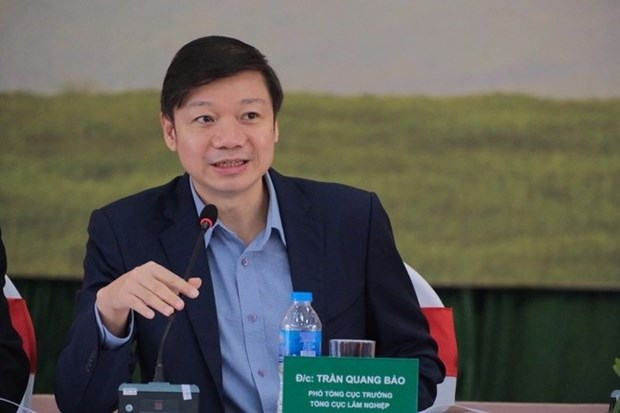 Le Vietnam developpe son marche du carbone hinh anh 1