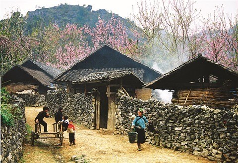 Douce balade a Dong Van, un tableau impressionniste de montagne hinh anh 2