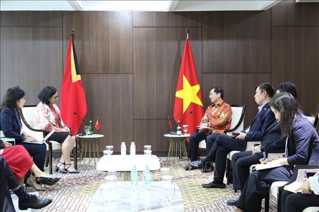 Le ministre des Affaires etrangeres rencontre son homologue du Timor-Leste hinh anh 1