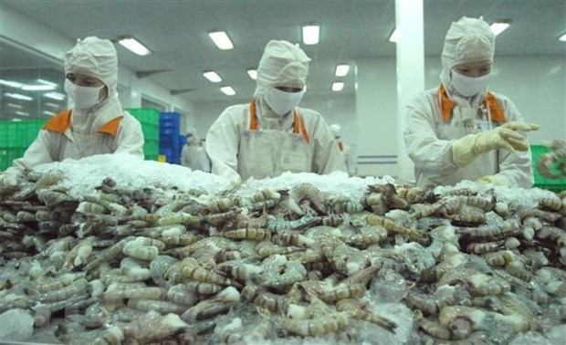 Bac Lieu vise un milliard de dollars d'exportations de crevettes hinh anh 1